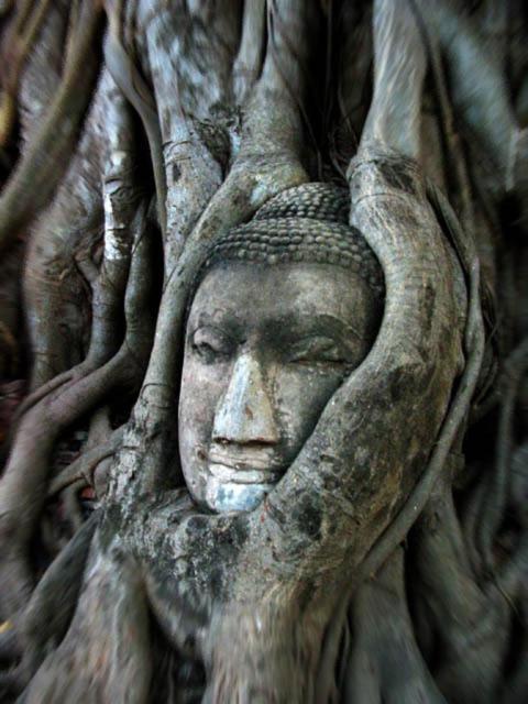 Somjai Place Ayutthaya Buitenkant foto